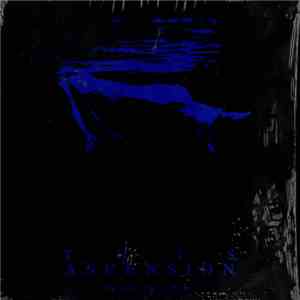 This Ascension - Tears In Rain
