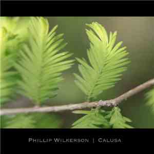 Phillip Wilkerson - Calusa