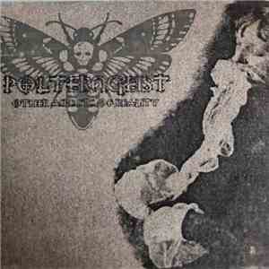 Polterngeist - Other Aspects Of Reality