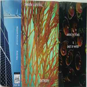 Swarm Survival - Entropy