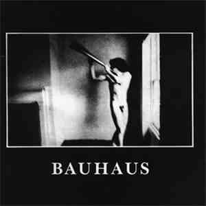 Bauhaus - In The Flat Field