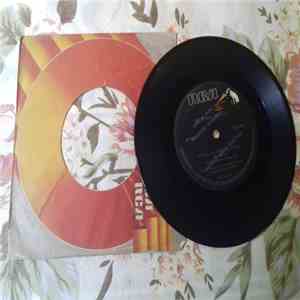 Mauro Celso - Macacos Coloridos