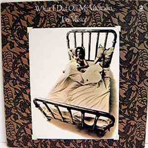 Joel Vance - What I Did On My Vacation