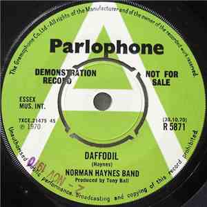 Norman Haynes Band - Daffodil