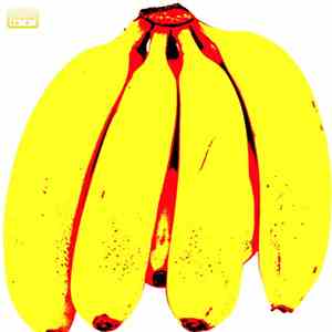 Nana Mouskouri's Spectacles - The Sushi-Banana Project