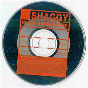 Shaggy - In The Summertime