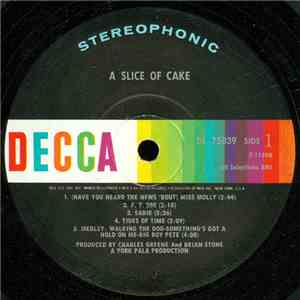 The Cake  - A Slice Of The Cake