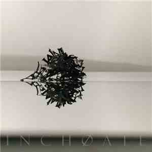 Inchoate  - ∅