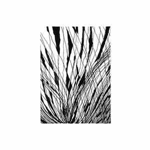 Stippling - Stippling