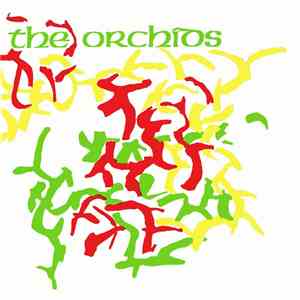 The Orchids  - I've Got A Habit