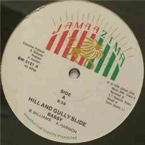 Bassy - Hill And Gully Slide