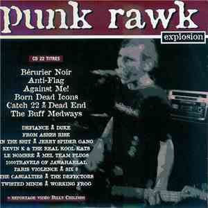 Various - Punk Rawk Explosion #14