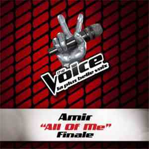 Amir - All Of Me