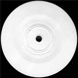 Stanton Warriors - Shake It Up 2 SIDED