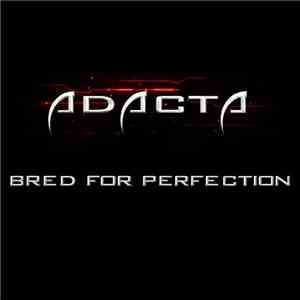Adacta  - Bred for Perfection
