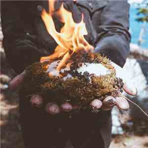 Botfly  - Botfly