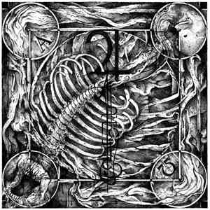 Jupiterian - Aphotic