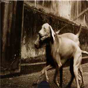 Pet Shop Boys - I Don't Know What You Want But I Can't Give It Any More