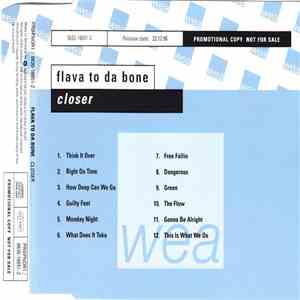 Flava To Da Bone - Closer
