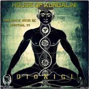 Dionigi - House Of Kundalini
