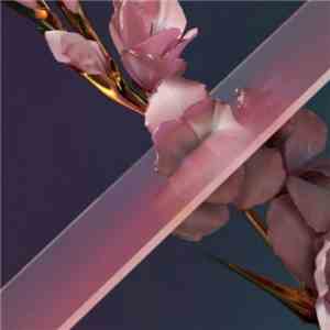 Flume - Never Be Like You (MiXiNiT X Chasrs Remix)
