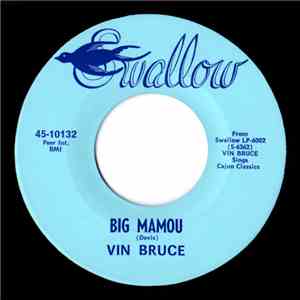 Vin Bruce - Big Mamou / Big Texas