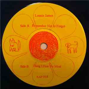 Lonnie James - Remember Not To Forget