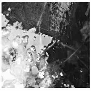 Takanobu Hoshino - A Sampling + 5