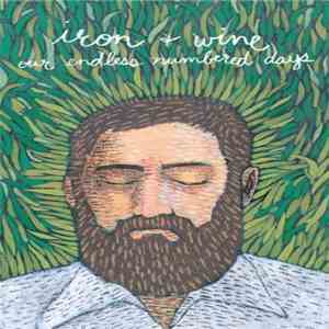 Iron & Wine - Our Endless Numbered Days