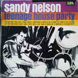 Sandy Nelson - Teenage House Party