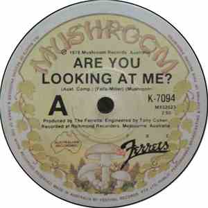 The Ferrets - Are You Looking At Me?