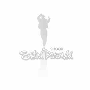 Shawn Desman - Shook