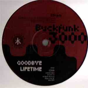 Buckfunk 3000 - Modulation