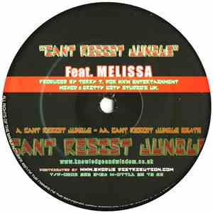 Terry Tee - Can't Resist Jungle