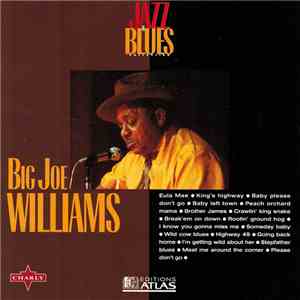 Big Joe Williams - Jazz & Blues Collection