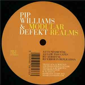 Pip Williams , DeFeKT - Modular Realms