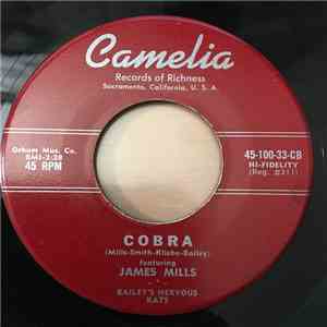 Bailey's Nervous Kats - Cobra
