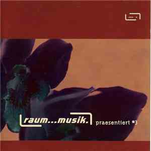 Various - Raum...Musik Präsentiert #3