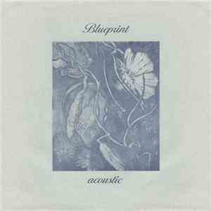 Blueprint  - Acoustic