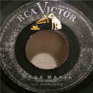 Los Moonlights - Rosa Maria - La Araña
