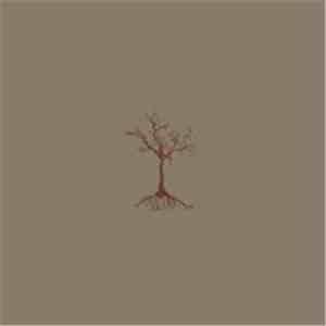 Black Christmas - By Way Of Decay