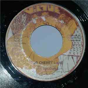The Shillings  - Strawberry Jain