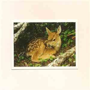 Arkia - Fawn