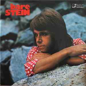 Stein Ingebrigtsen - Bare Stein