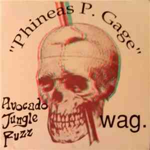 Avocado Jungle Fuzz / Wag. - Phineas P. Gage