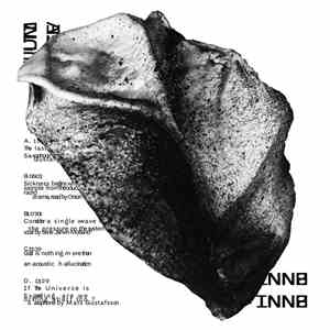 BNNT - Multiverse