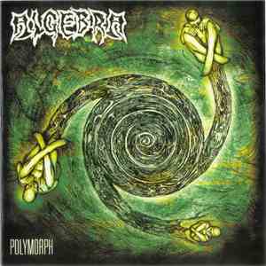 Algebra - Polymorph