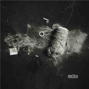Antea - Trepverter