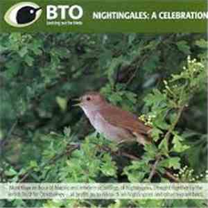Chris Mead - Nightingales : A Celebration