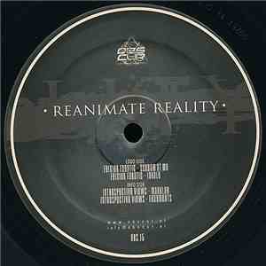Frixion Fanatic / Introspective Views - Reanimate Reality